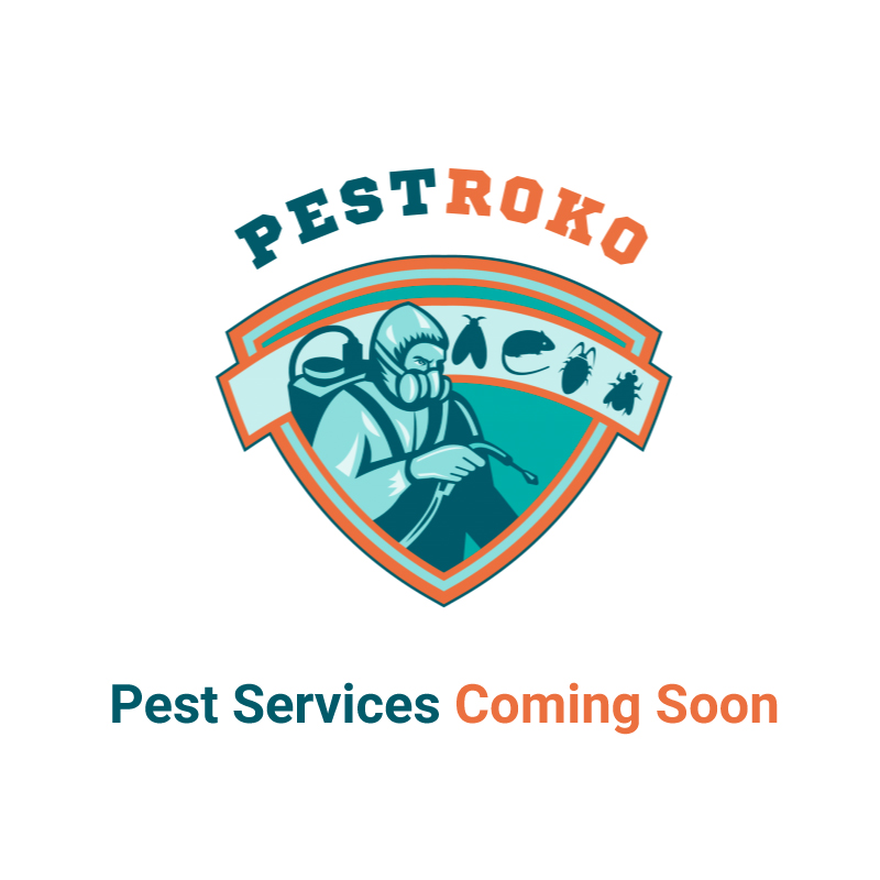 Pest Roko